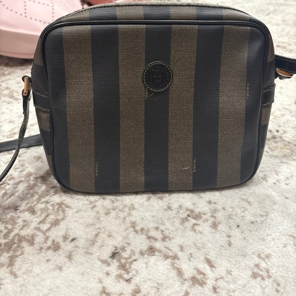 Fendi Brown and Black Striped Bag